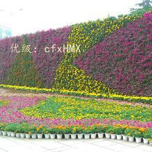 ĺ֮