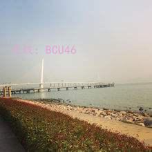 ḻ