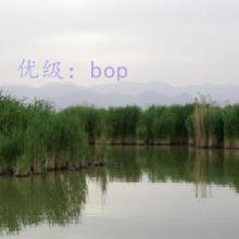 ЧӦ