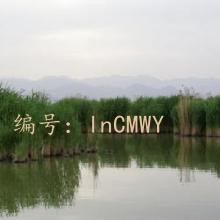Ŭ