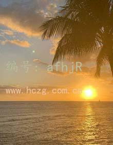 ҵ