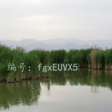 ҵ