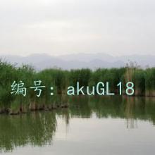 Ŭ