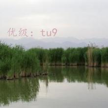 ḻ