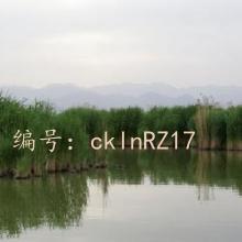 ջ